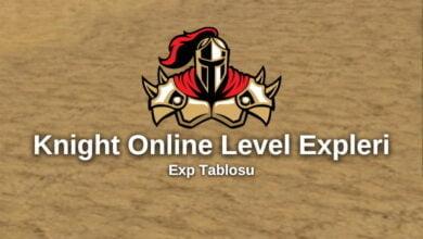 Knight Online Exp Miktarları
