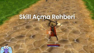 Master,70,72,74,75,76,78,80 skill açma