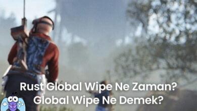 Rust Global Wipe Ne Demek?