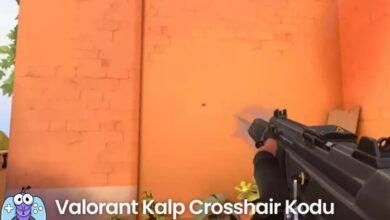 Valorant Kalp Nişangah Kodu