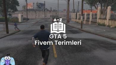 Fivem Roleplay Terimleri