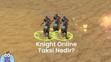 Knight Online Paramun Taksi