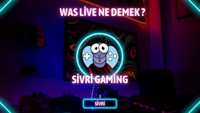 Was Live Ne Demek ?