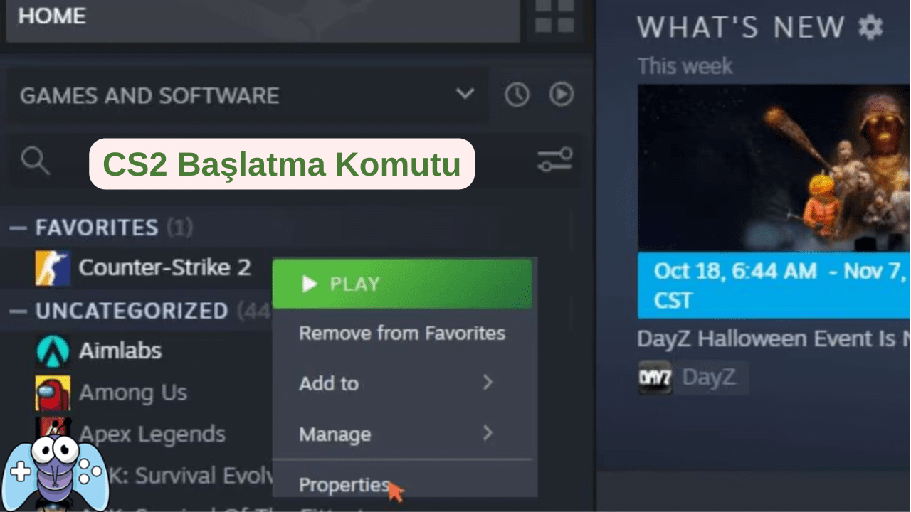 CS2 Başlatma Seçenekleri