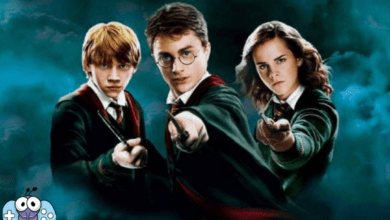 Harry Potter Hangi Platformda İzlenir?