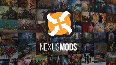 Nexus Mod Manager