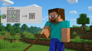 Minecraft ip yapımı
