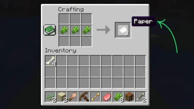 Minecraft kağıt yapımı