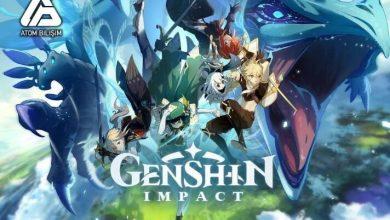 Genshin Impact
